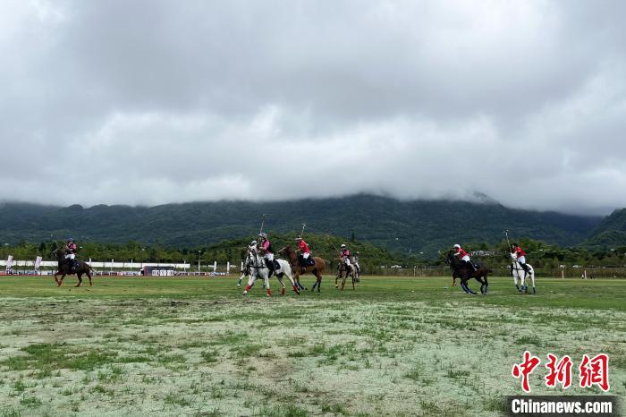 重庆武隆仙女山世界女子马球玫瑰杯决赛精彩上